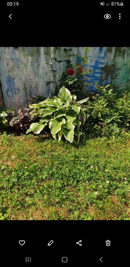 Apartment Centrum Garden - ,,parking Free